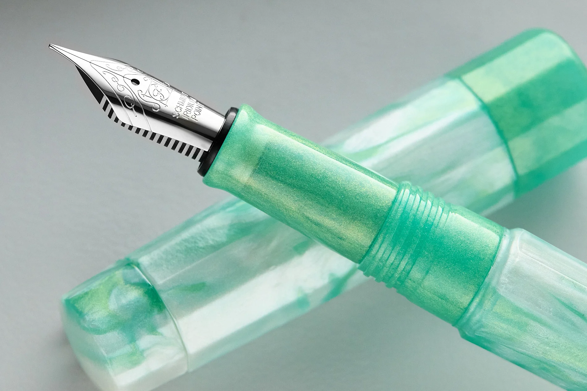 BENU Euphoria Fountain Pen - Honey Pals - Image 13