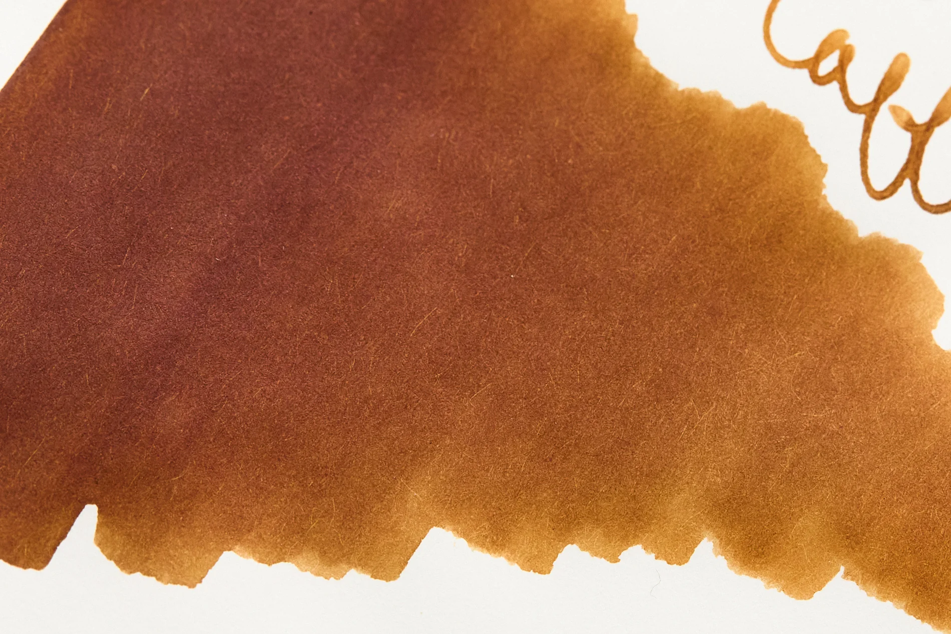 Colorverse Coffee Break - 30ml Bottled Ink - Image 3