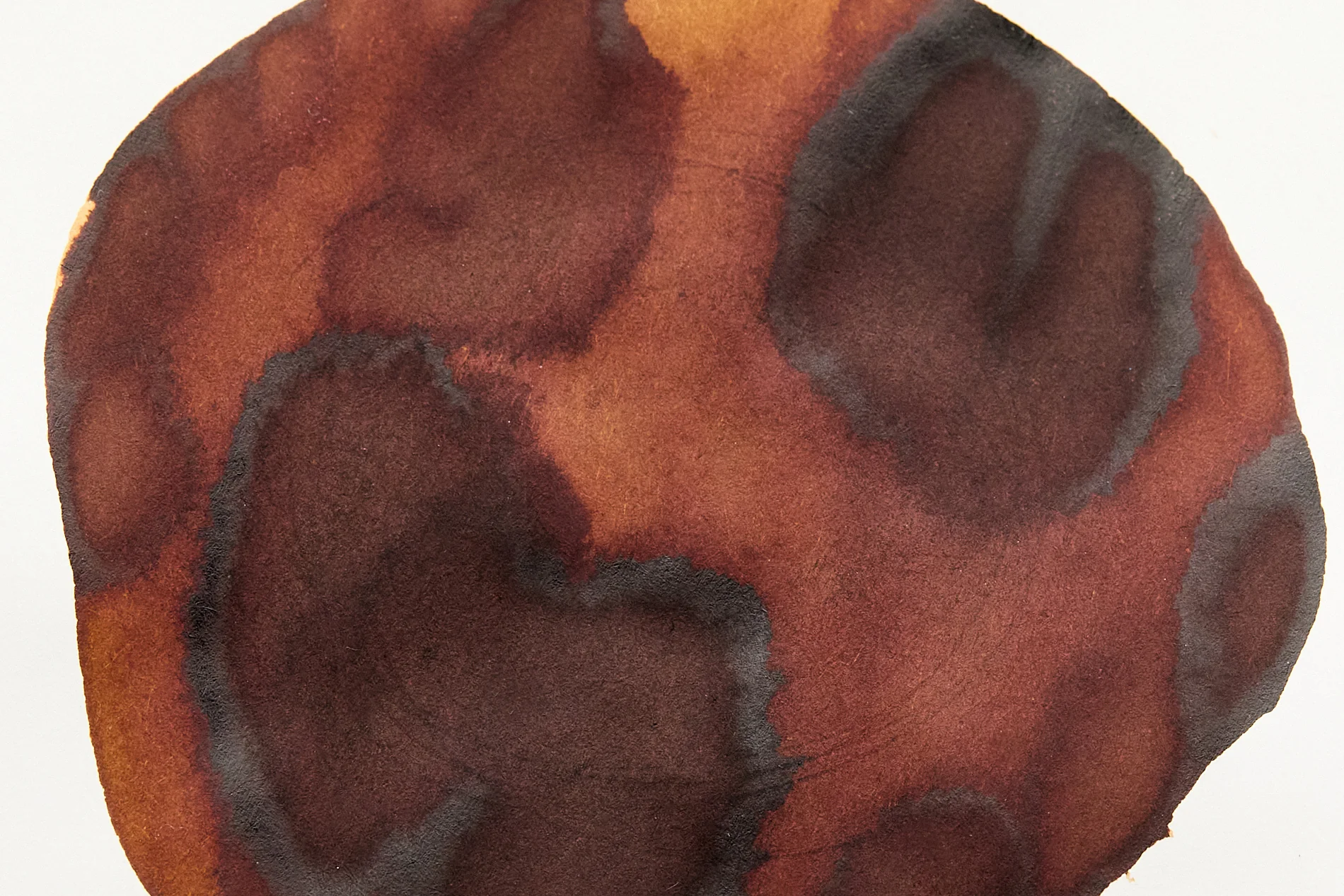 Colorverse Coffee Break - 30ml Bottled Ink - Image 4