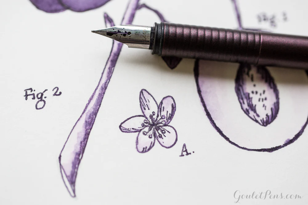 Diamine Damson - 30ml Bottled Ink - Image 4