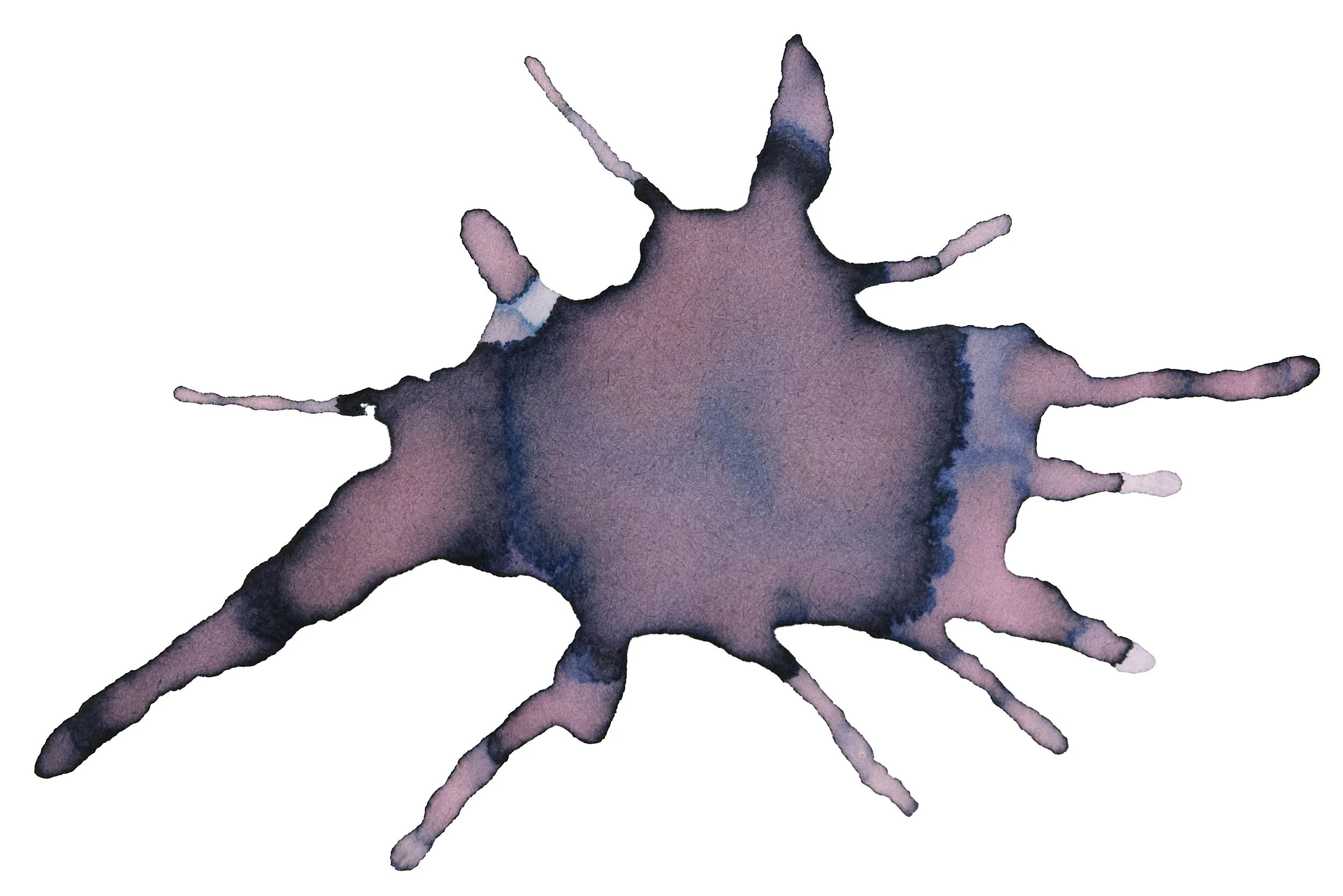 Diamine Lady Grey - Ink Sample - Image 4