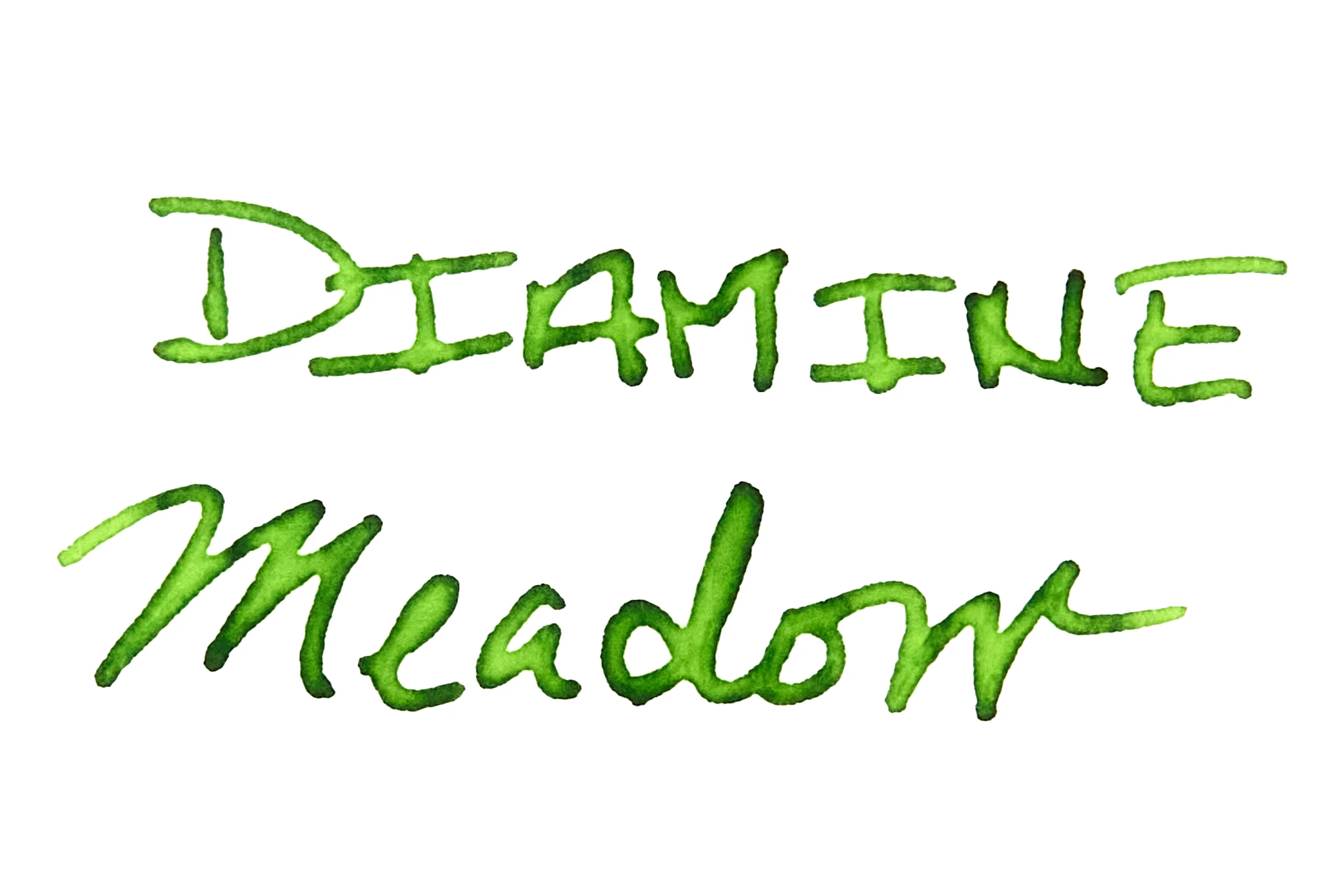 Diamine Meadow - Ink Sample - Image 2