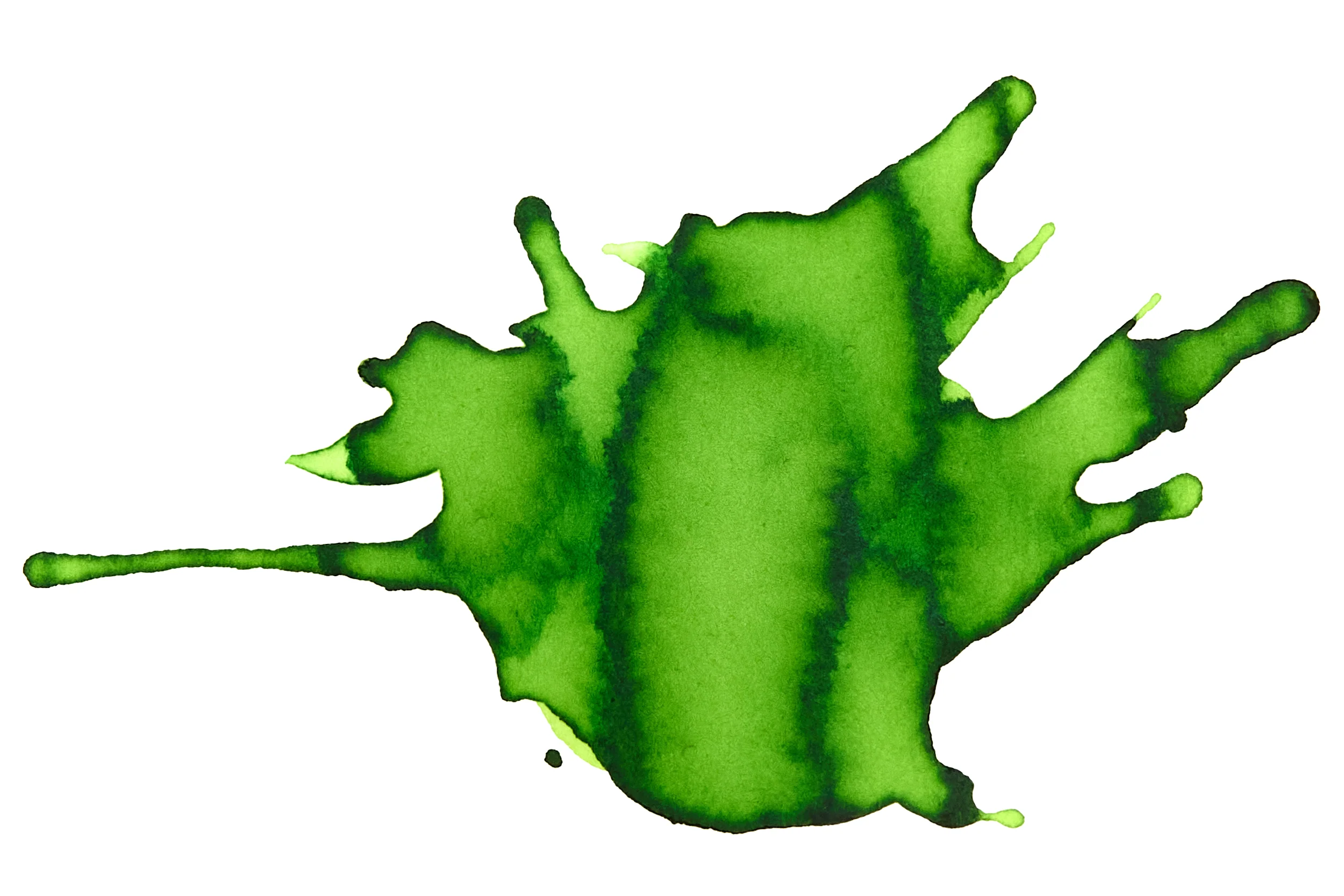 Diamine Meadow - Ink Sample - Image 4