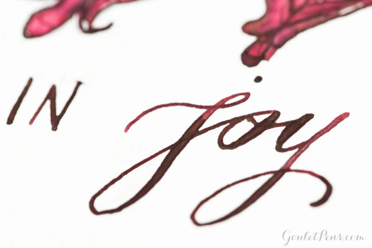 Diamine Oxblood - 80ml Bottled Ink - Image 18