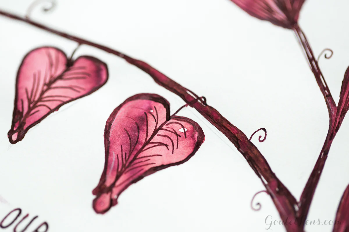 Diamine Oxblood - Ink Cartridges - Image 13