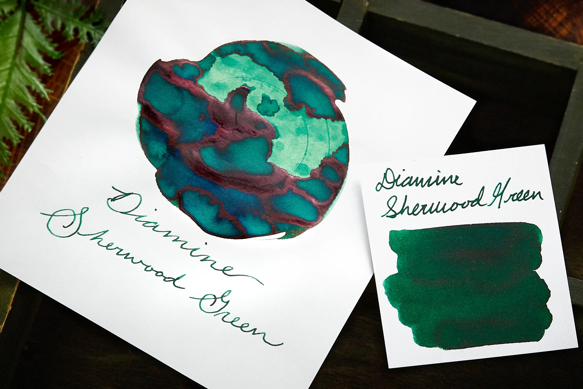 Diamine Sherwood Green - Ink Sample - Image 2