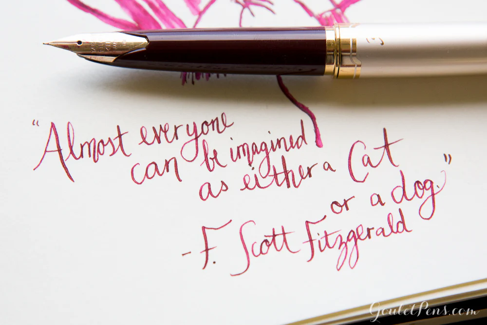 Diamine Syrah - Ink Sample - Image 13