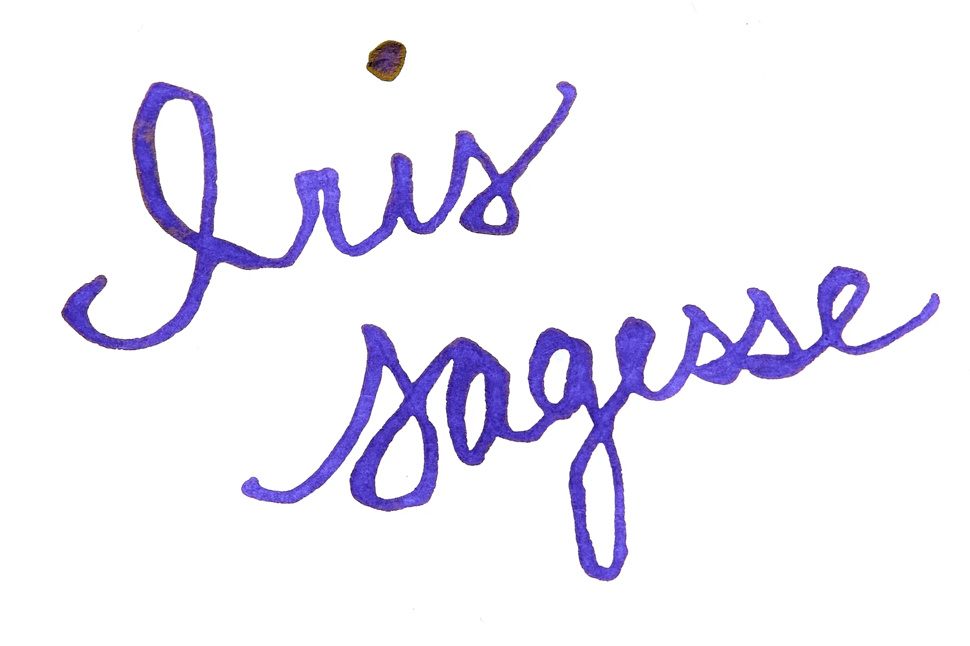 Jacques Herbin Iris Sagesse - Ink Sample - Image 3