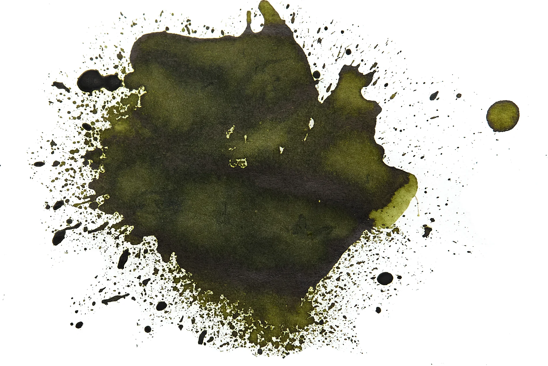 Jacques Herbin Vert Cactus - Ink Sample - Image 4