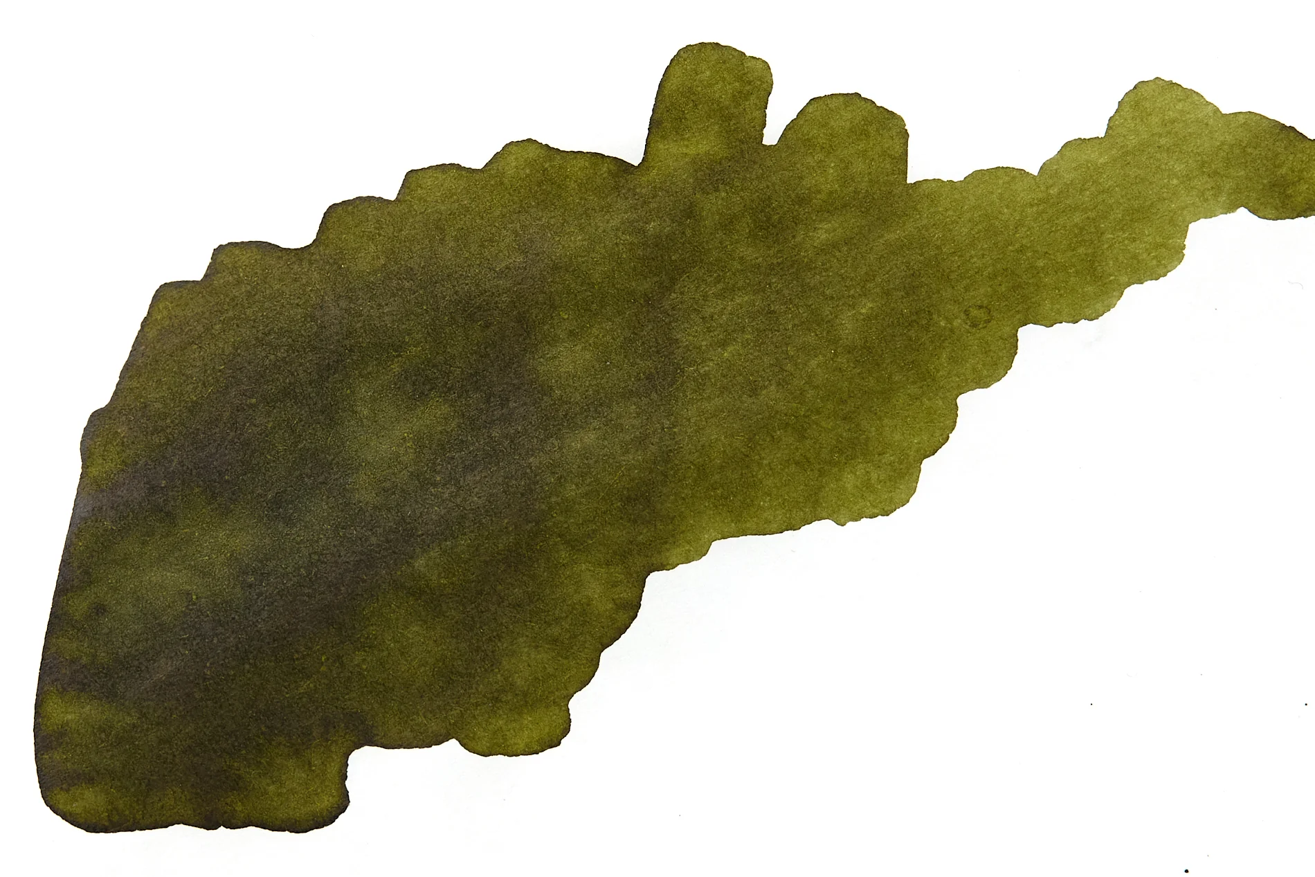 Jacques Herbin Vert Cactus - Ink Sample - Image 5