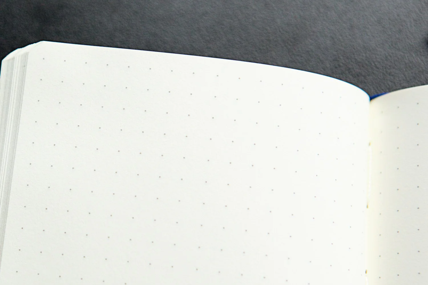 Leuchtturm1917 Medium A5 Notebook - Olive, Dot Grid - Image 3