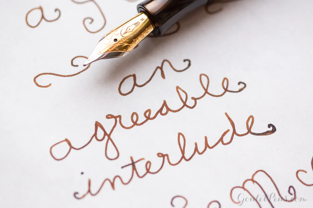 Monteverde Scotch Brown - Ink Sample - Image 3