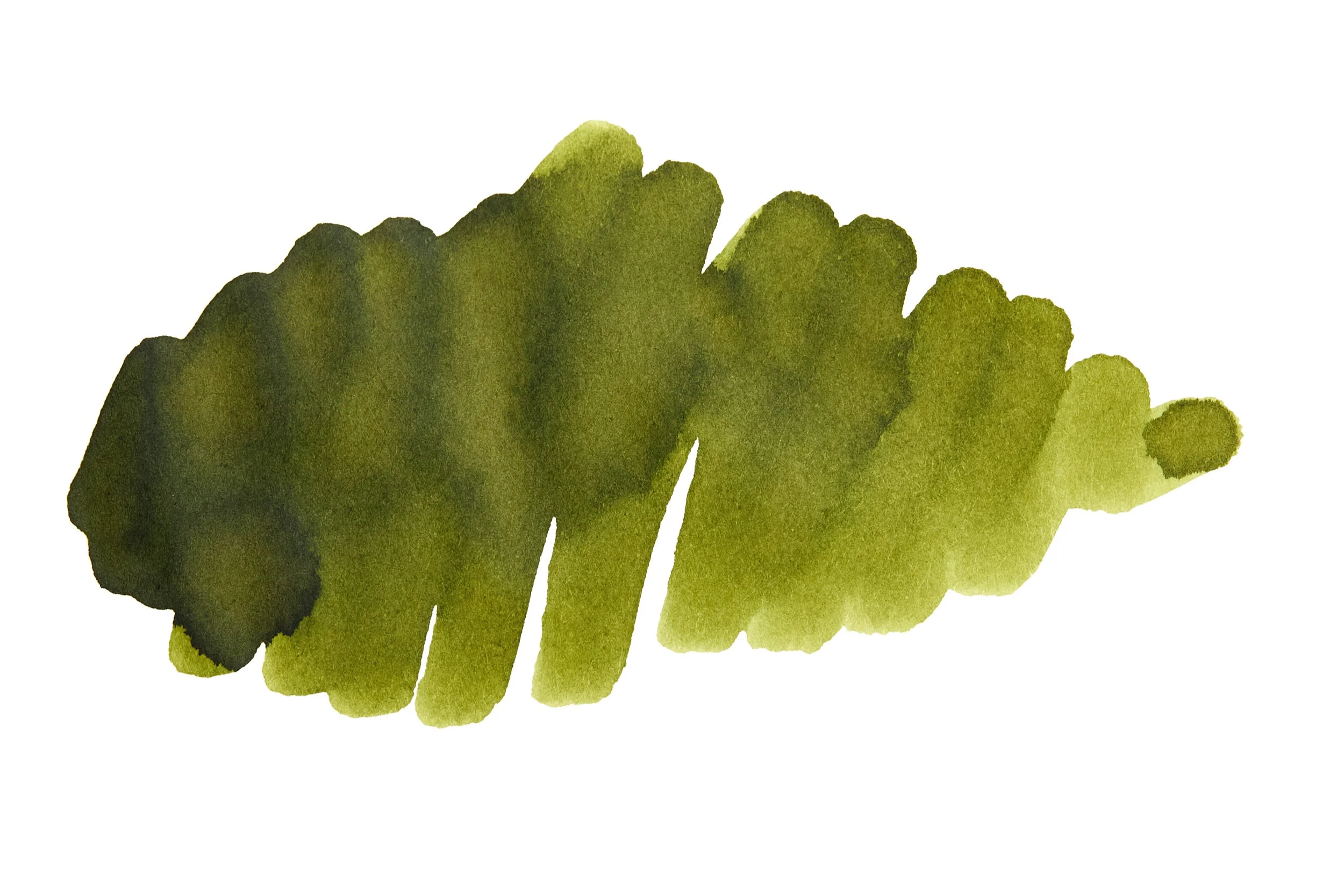 Noodler's Army Green - Ink Sample - Image 4