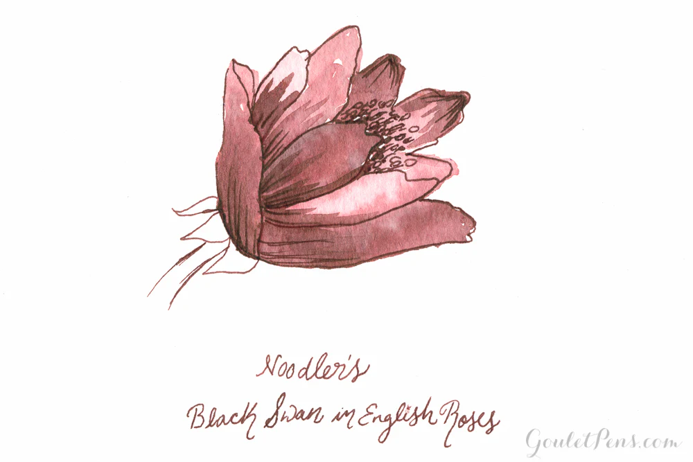 Noodler's Black Swan in English Roses - Ink Sample - Image 2