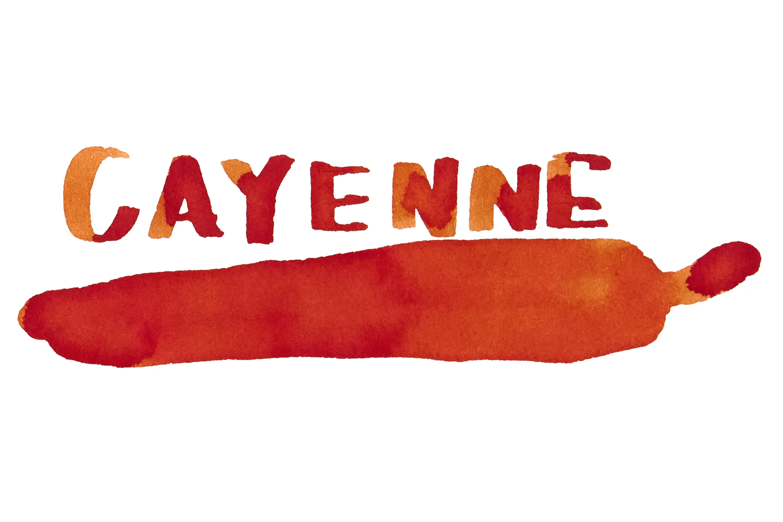 Noodler's Cayenne - Ink Sample - Image 4