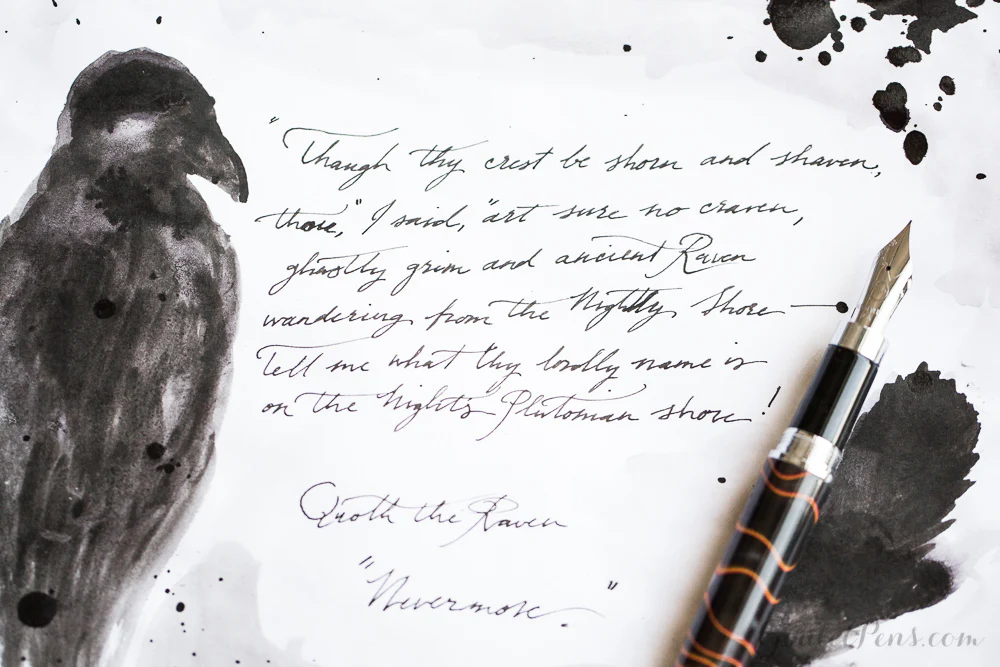 Noodler's Heart of Darkness - Ink Sample - Image 10