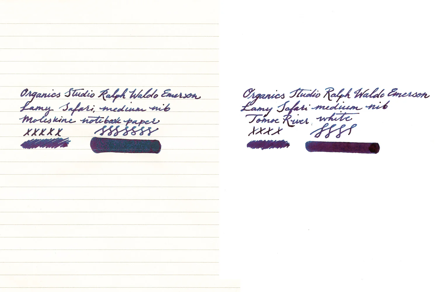 Organics Studio Ralph Waldo Emerson Twilight Blue - 55ml Bottled Ink - Image 7