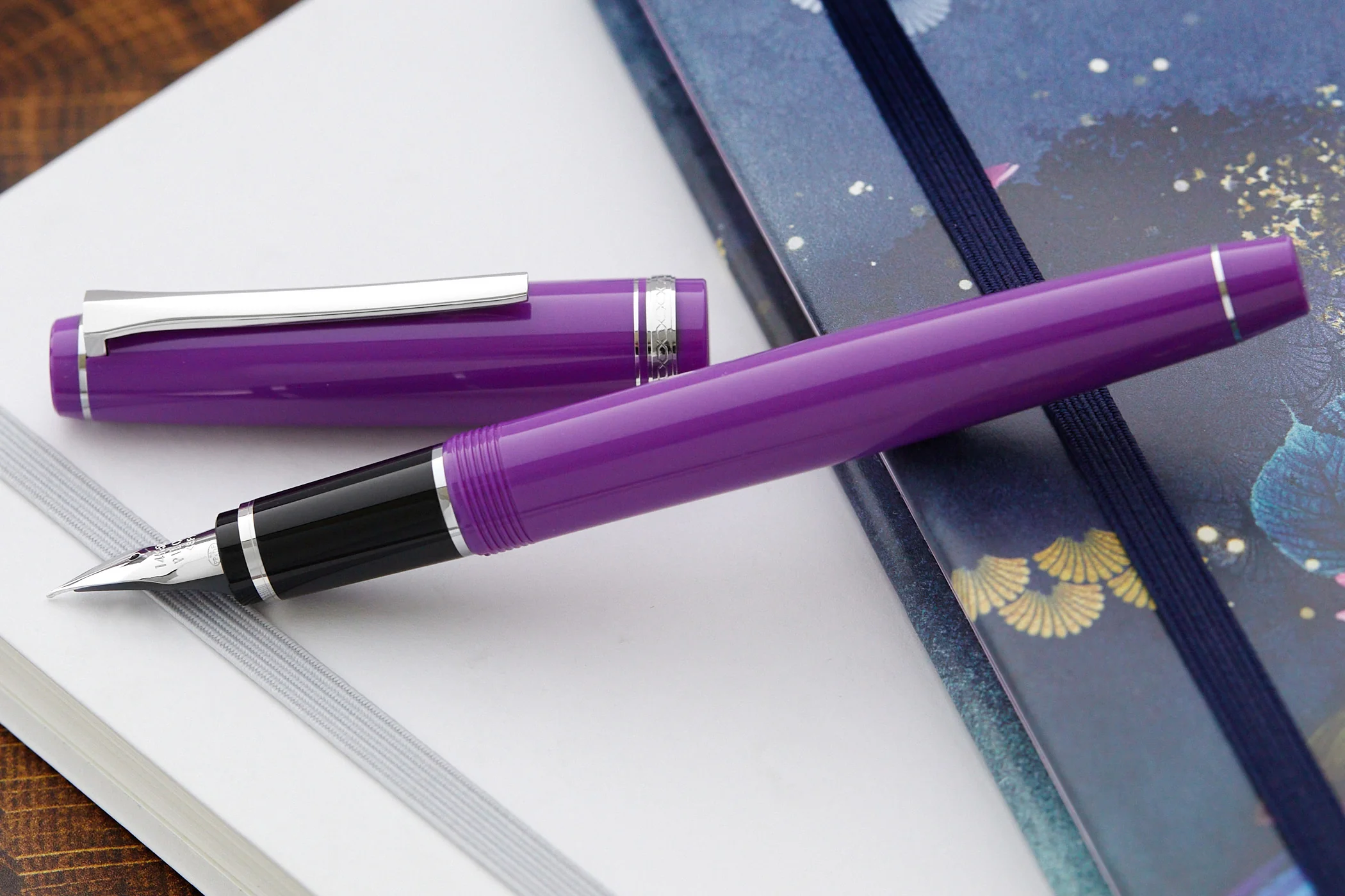 Pilot Falcon Fountain Pen - Purple - Image 10