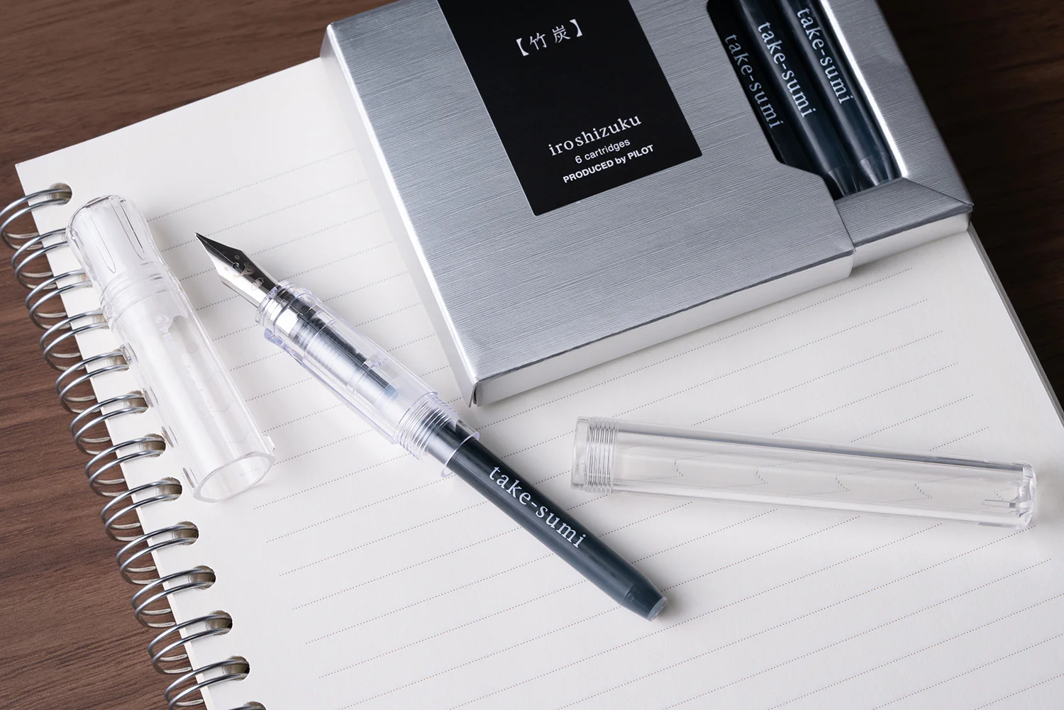 Pilot Iroshizuku Take-sumi - Ink Cartridges - Image 2