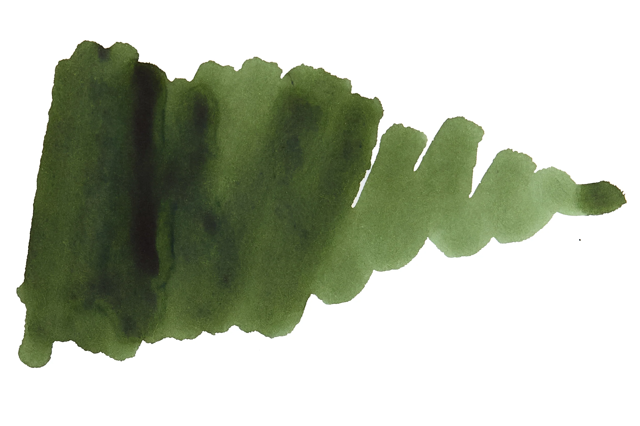 Platinum Classic Forest Black - 60ml Bottled Ink - Image 6