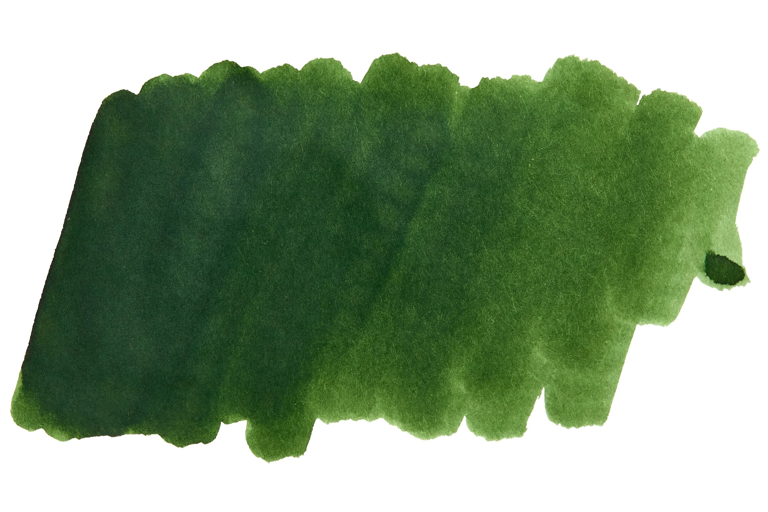 Private Reserve Avocado - 60ml Bottled Ink - Image 3