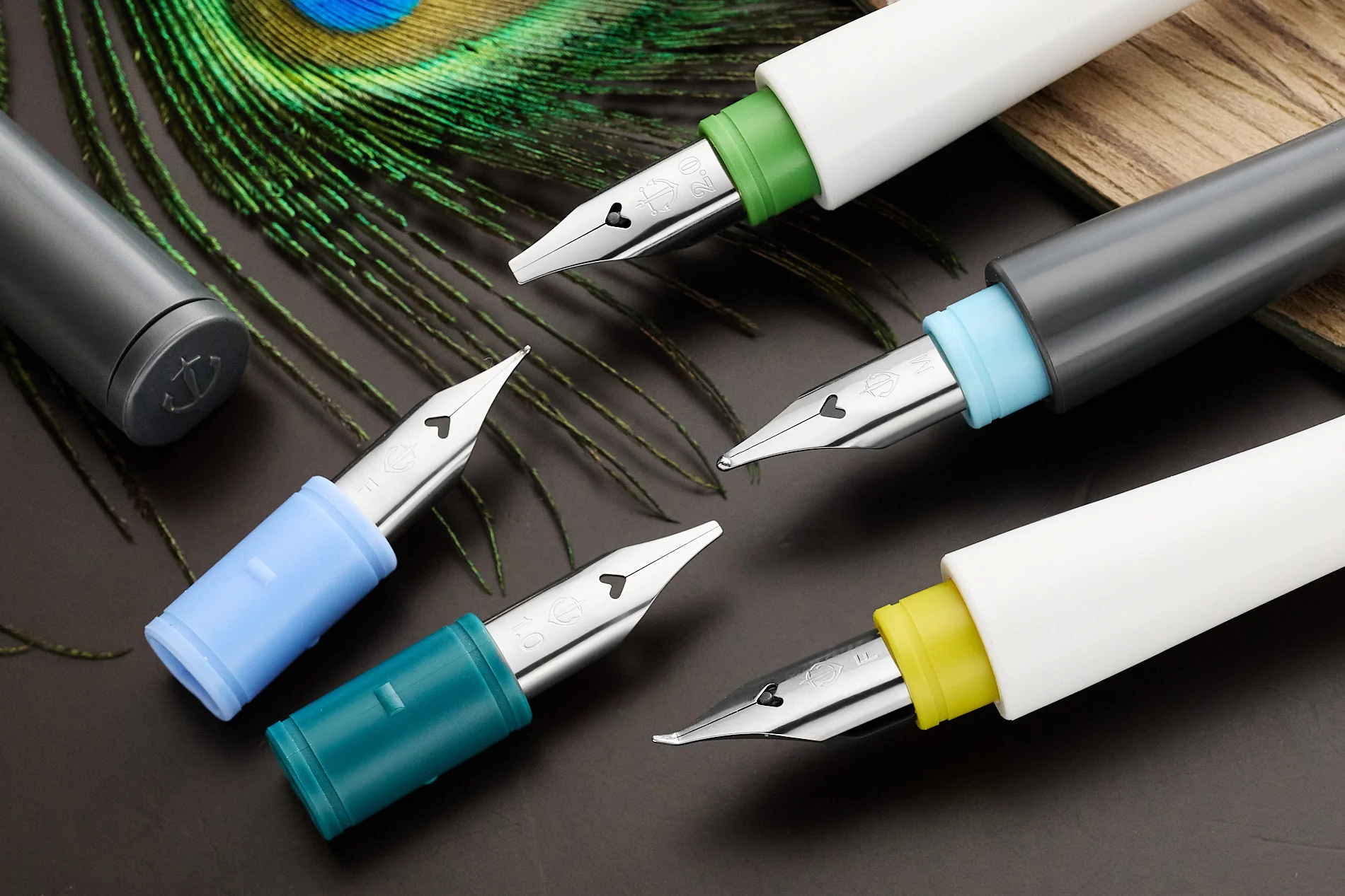 Sailor Hocoro Dip Pen Set - White - Image 13