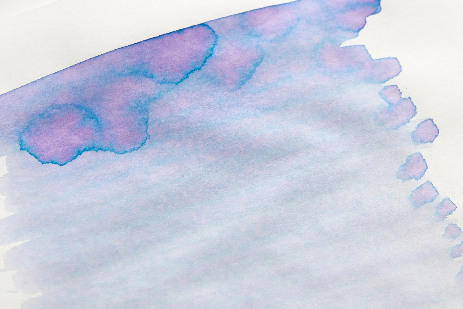 Sailor Manyo Nekoyanagi - 50ml Bottled Ink - Image 5
