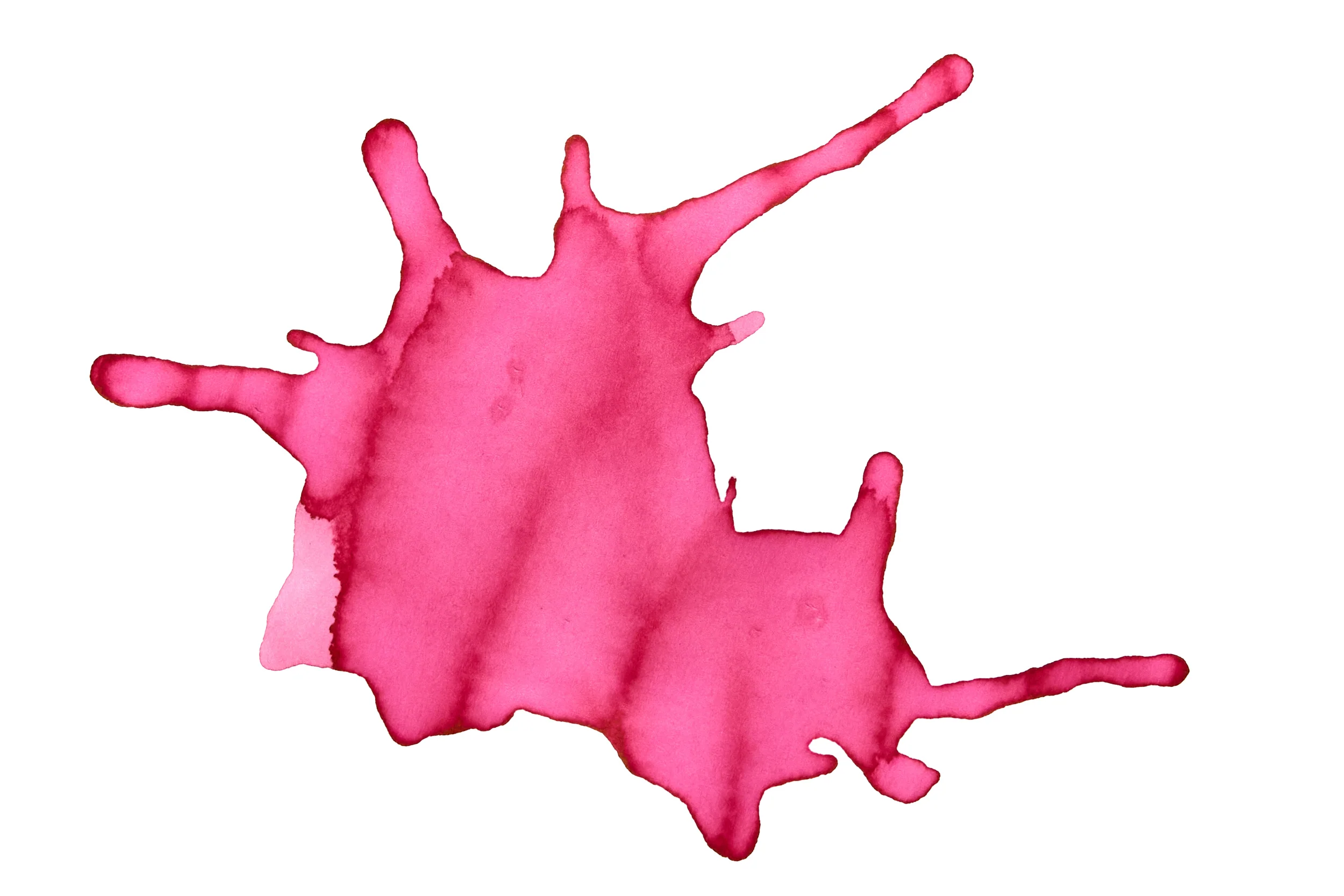 Sailor Shikiori Sakura-mori - 20ml Bottled Ink - Image 4