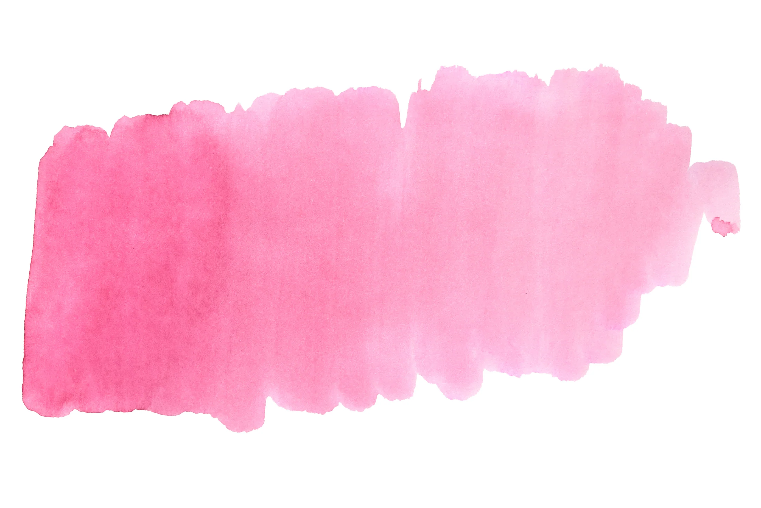 Sailor Shikiori Sakura-mori - 20ml Bottled Ink - Image 6