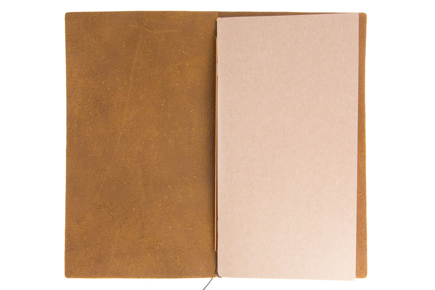 Traveler's Notebook - Camel (Regular) - Image 2
