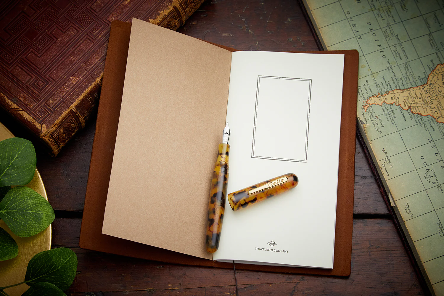 Traveler's Notebook - Camel (Regular) - Image 9