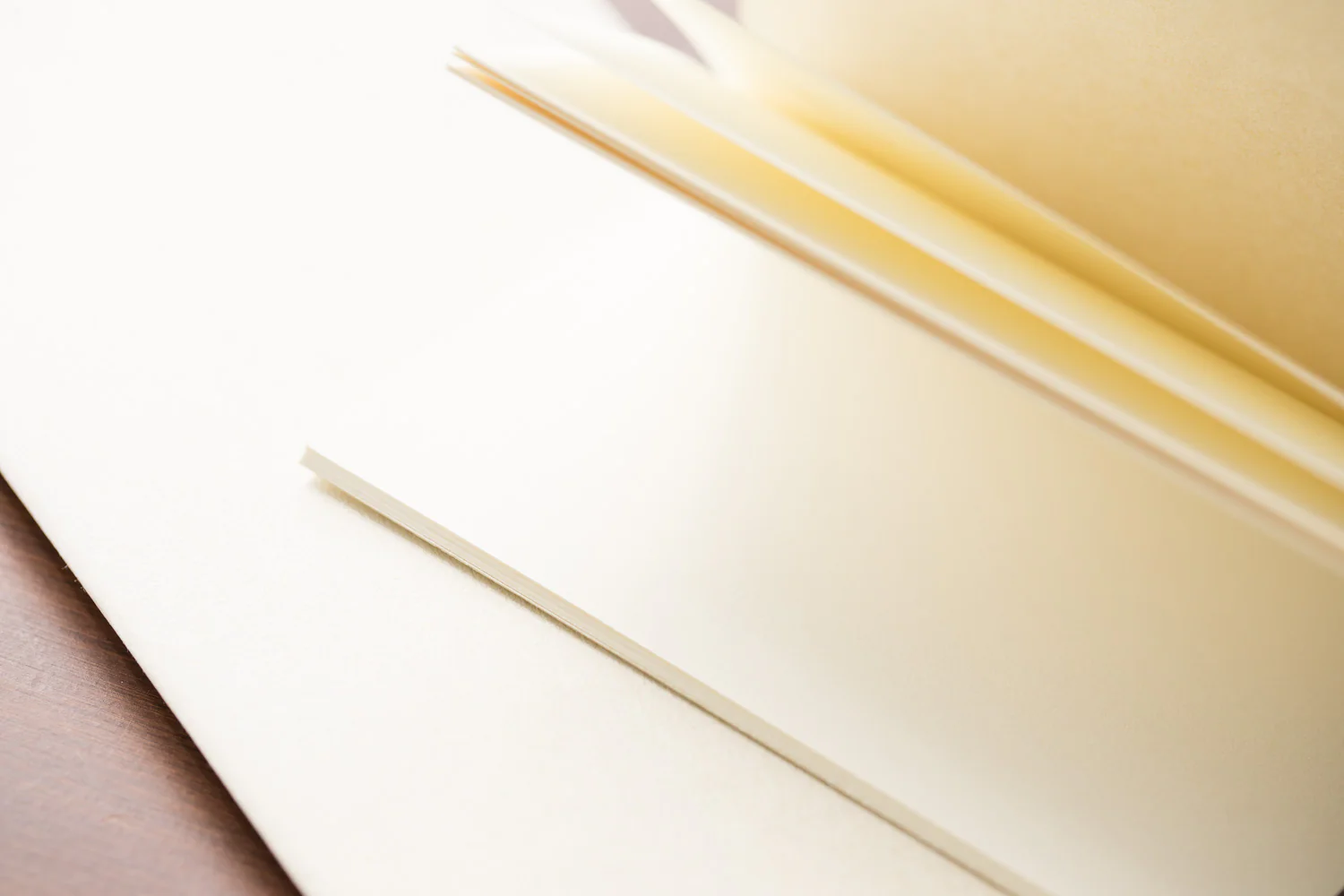 Traveler's Notebook Regular Refill 025 - Blank, Cream Paper - Image 2