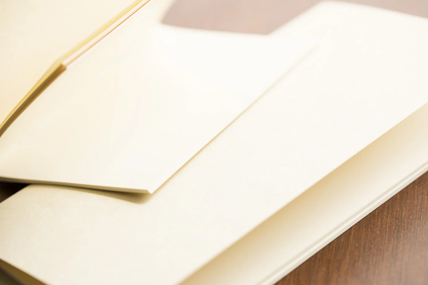 Traveler's Notebook Regular Refill 025 - Blank, Cream Paper - Image 3