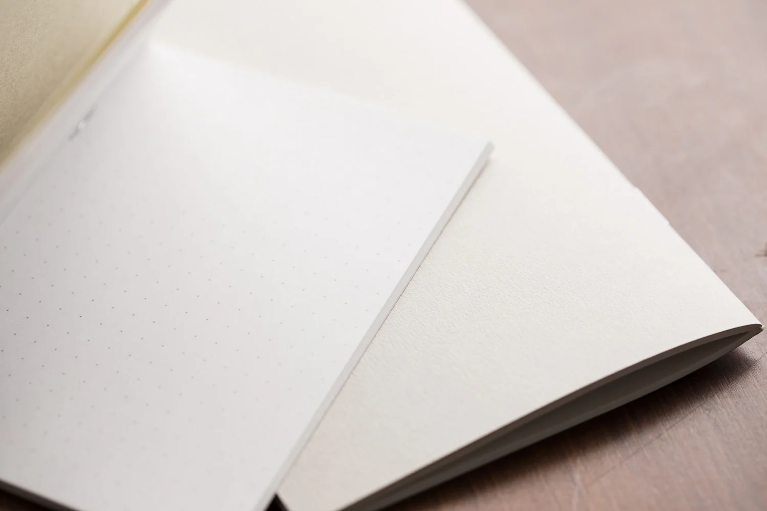Traveler's Notebook Regular Refill 026 - Dot Grid - Image 3