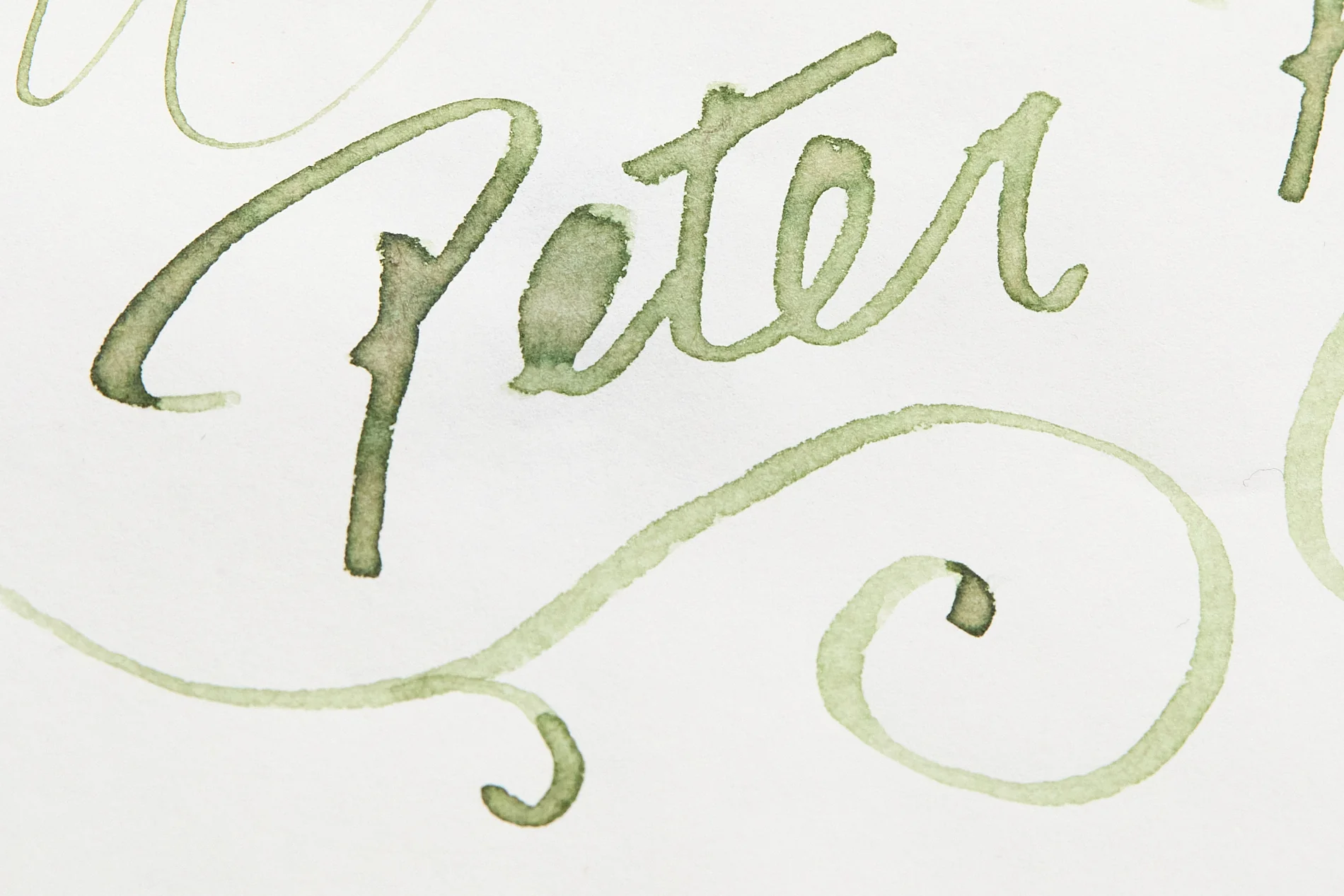 Wearingeul Peter Pan - Ink Sample - Image 3